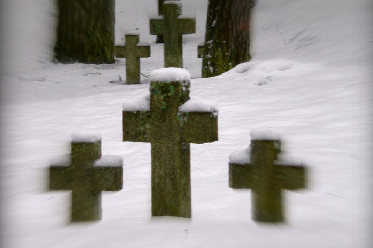    Фото: Денис Алфимцев