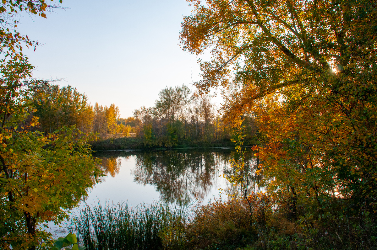 фото:Svetlana Vozmilova/Global Look Press