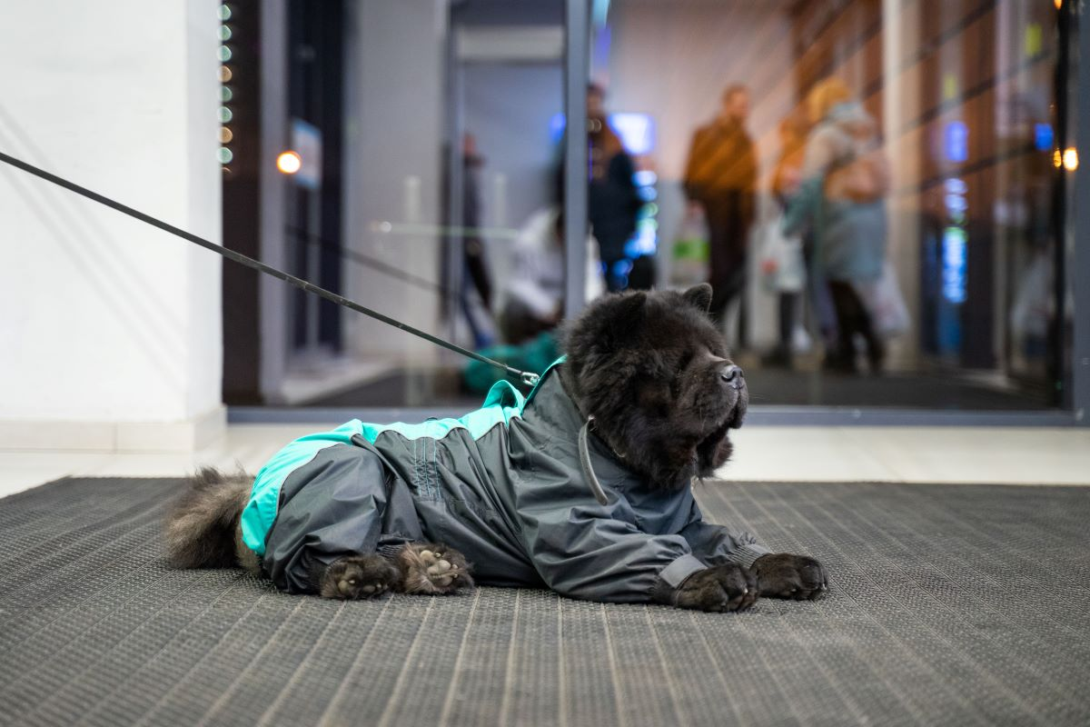 Фото: Александр Плонский / «ВиЖ»