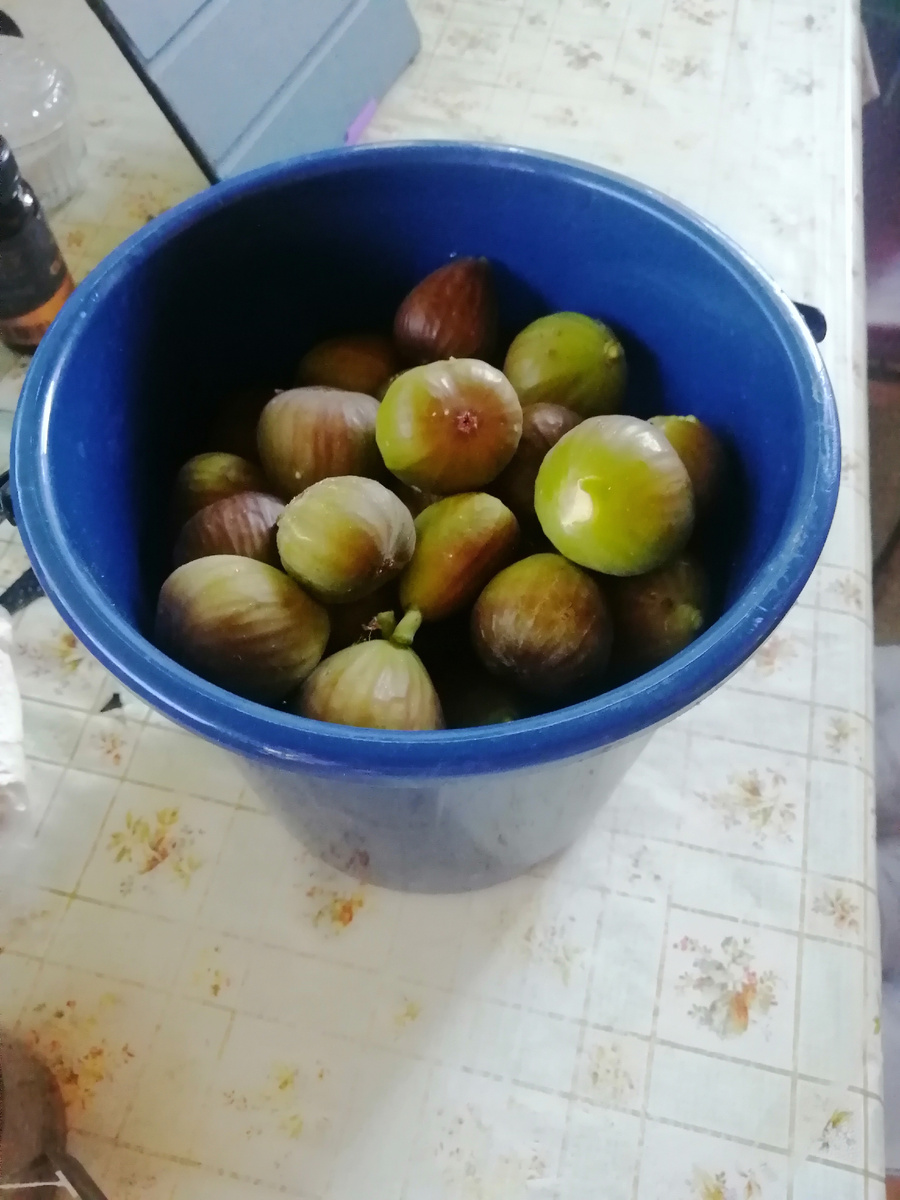 Собрала утром 