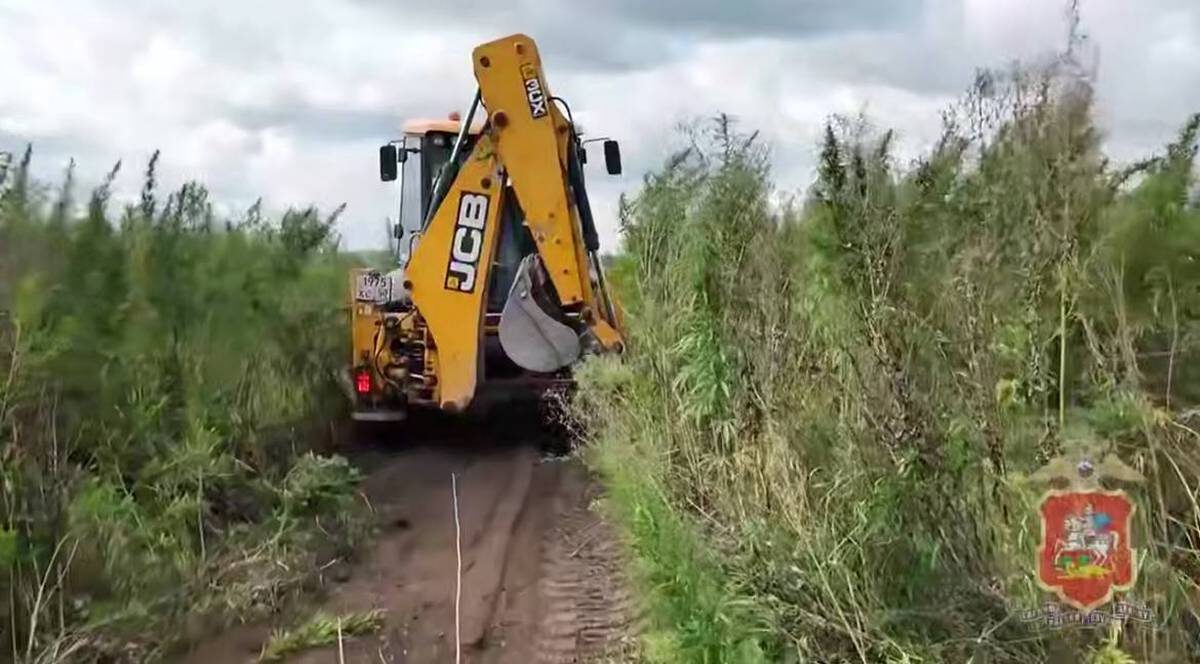    Фото: Пресс-служба ГУ МВД России по Московской области