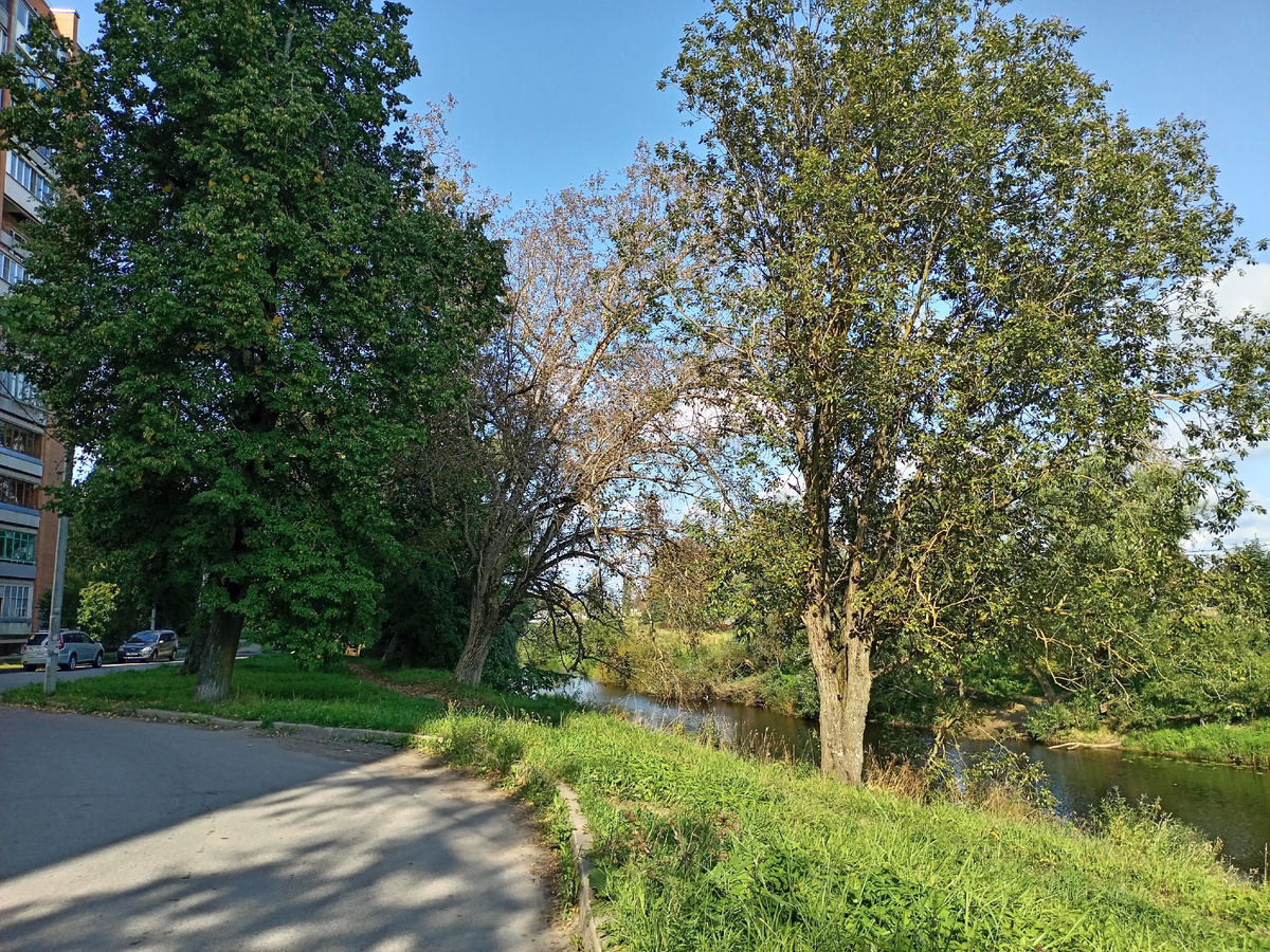 г. Тосно и река Тосна