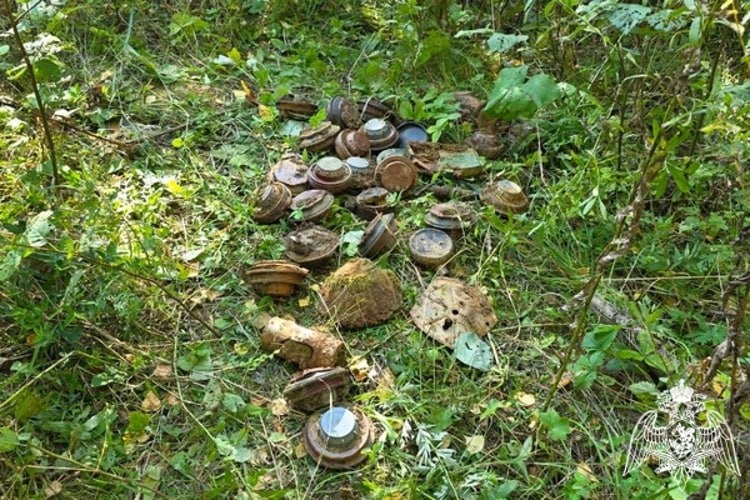 Фото: пресс-служба Управления Росгвардии по Вологодской области