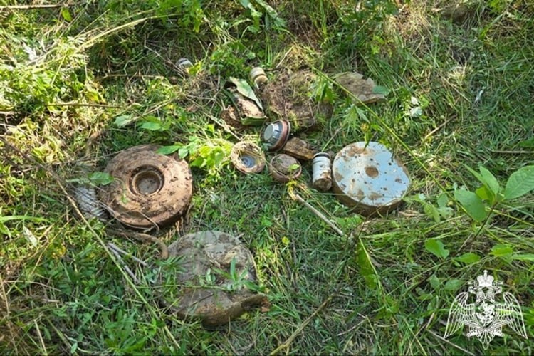 Фото: пресс-служба Управления Росгвардии по Вологодской области