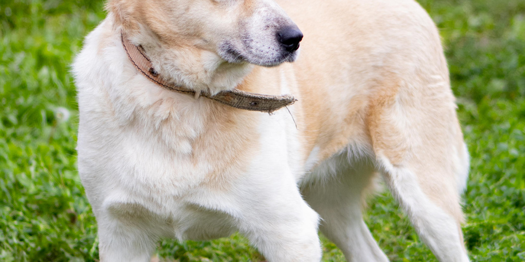 Два года она верила, что за ней вернутся. История Нюры, которую забыли навсегда...