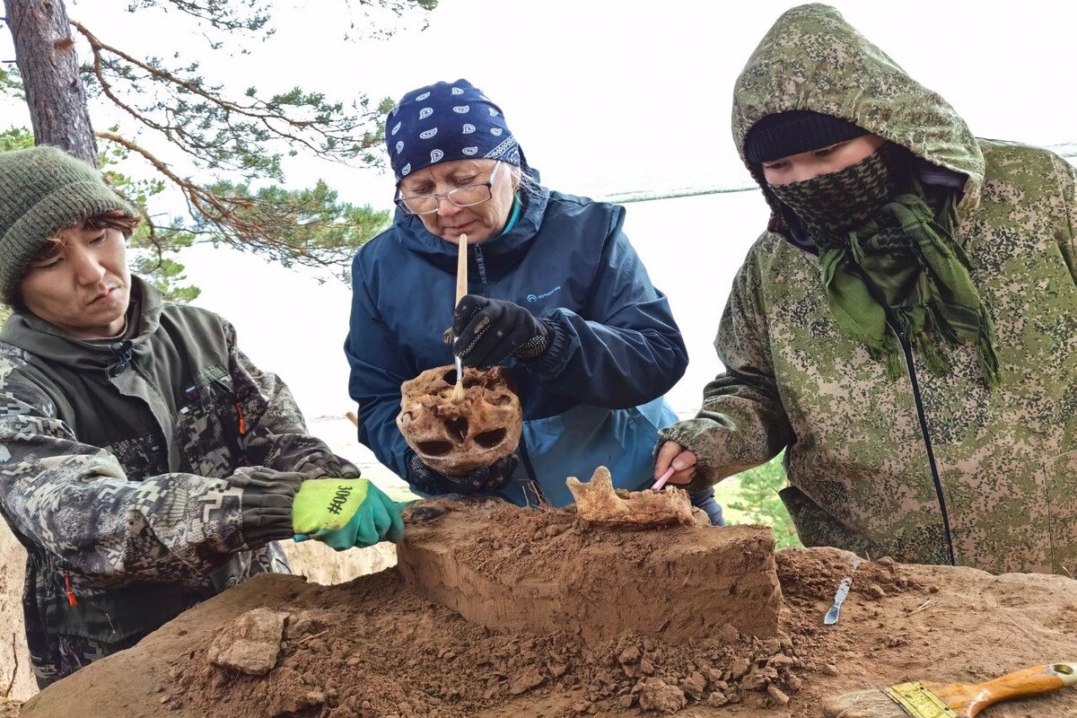    Фото: Арктический научно-исследовательский центр Республики Саха (Якутия)