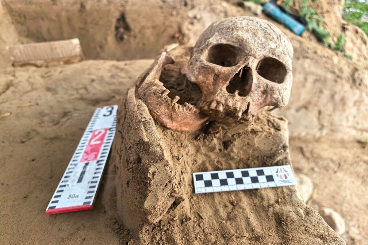    Фото: Арктический научно-исследовательский центр Республики Саха (Якутия)