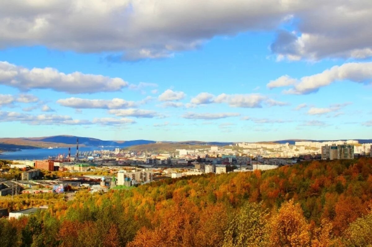    Экономит Десятниченко: развитие бизнеса в Арктике — это приоритет для РФ