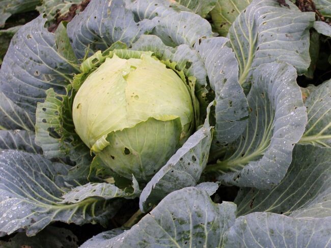 Фото: ИА "Регион 71"