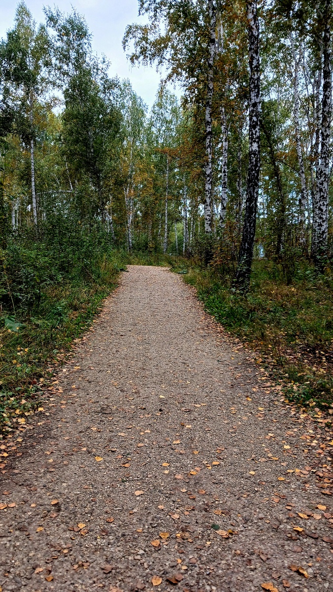 "Доброе утро, мир! Ты прекрасен!" Фото автора