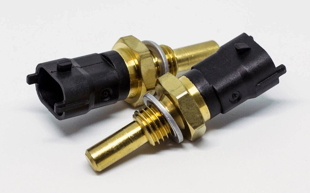 Фото: Olga Litvinchuk / Shutterstock / FOTODOM