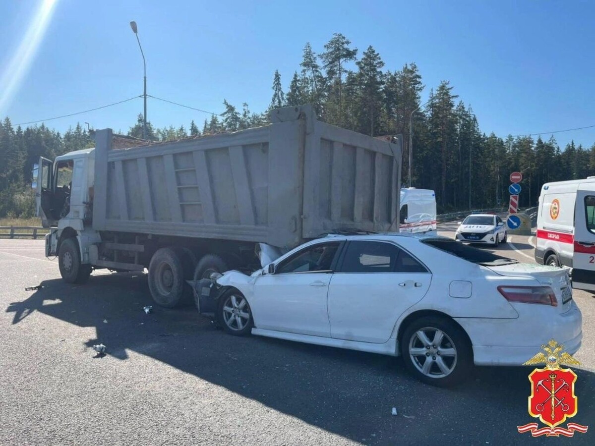     / Источник: © ГУ МВД России по г. Санкт-Петербургу и Ленинградской области