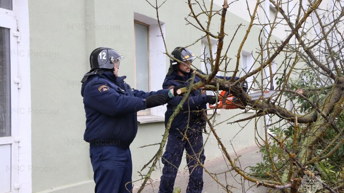     Автор: 57.mchs.gov.ru
