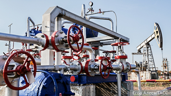     Фото: Егор Алеев/ТАСС   
 Текст: Ольга Иванова