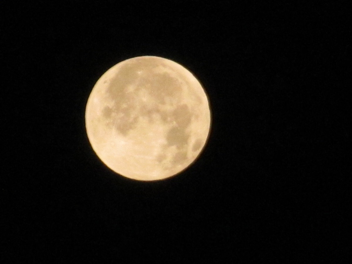 фото автора 8 сентября 2025