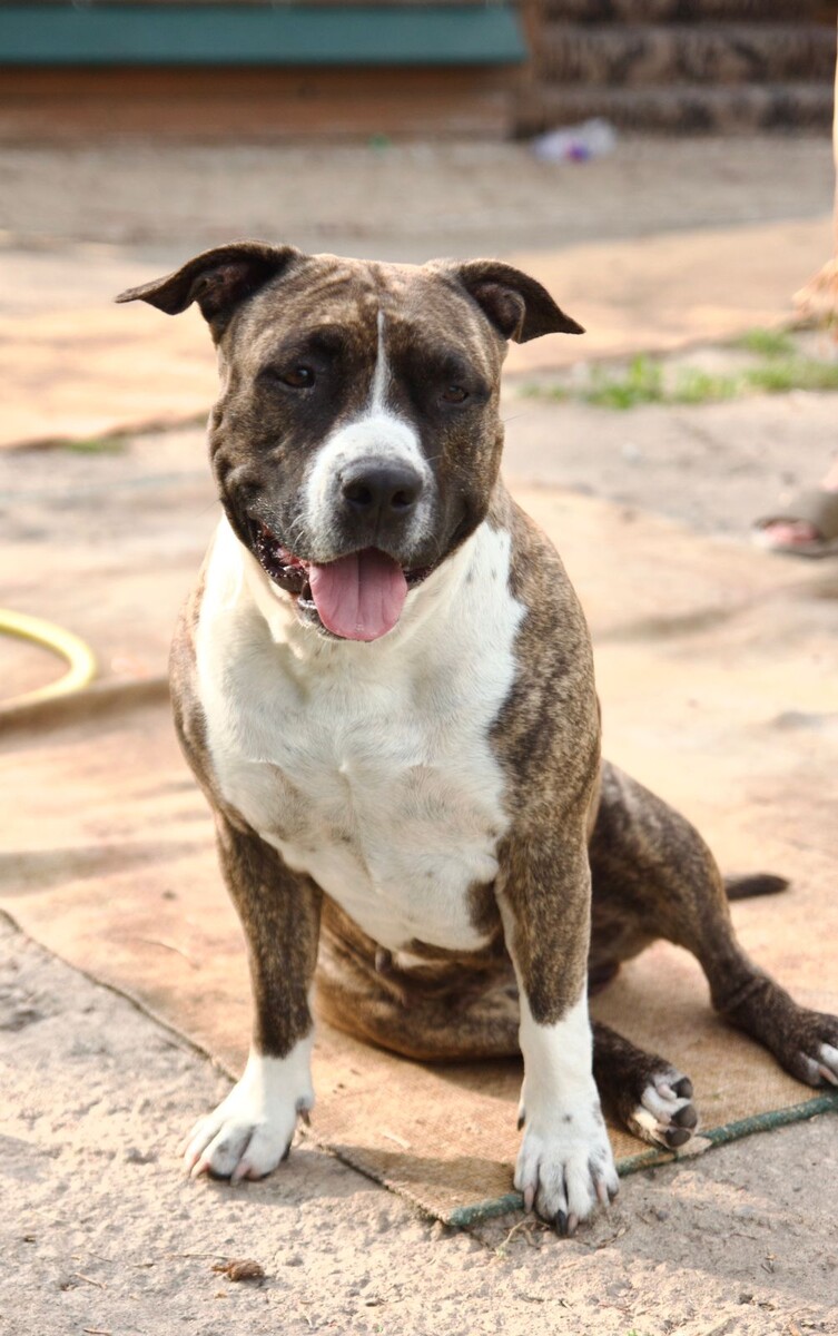 Красавица моя