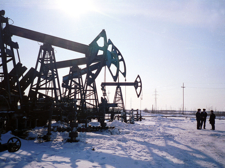 Фото: Геннадий Черкасов