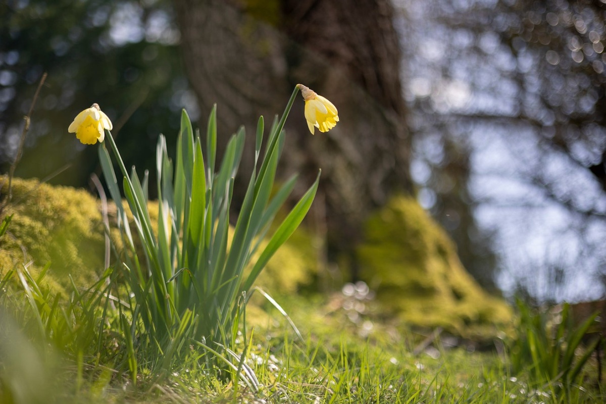    Объектив 50 мм тренирует чувство кадра и композиции, что важно для новичка. Снимок на Canon RF 50mm F1.8 STM / Фото: dpreview.com