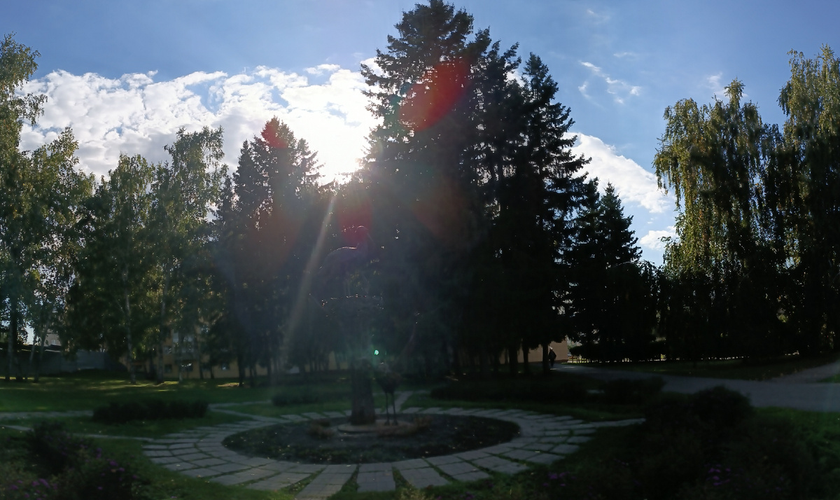 Где-то на просторах моего города. Утреннее солнце. Фотография автора. Сентябрь 2025 года. 