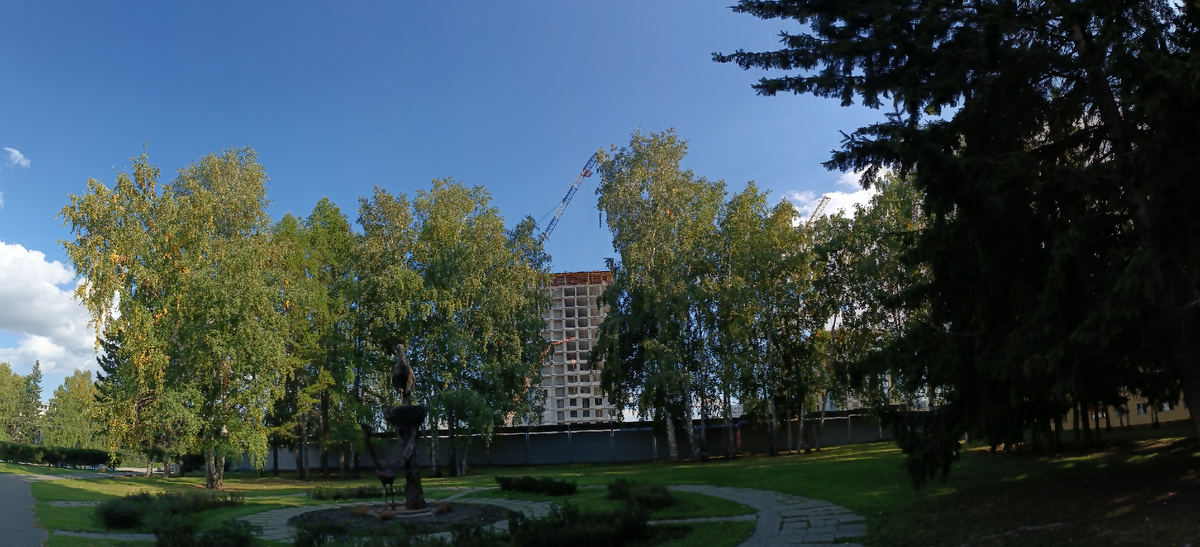 Где-то на просторах моего утреннего, солнечного города. На заднем фоне, за деревьями строится гостиница, на месте бывшего парка. Фотография автора, сентябрь 2025 года. 