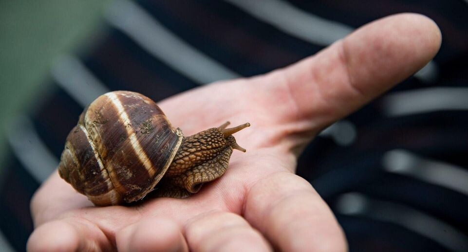    РИА «Новости»