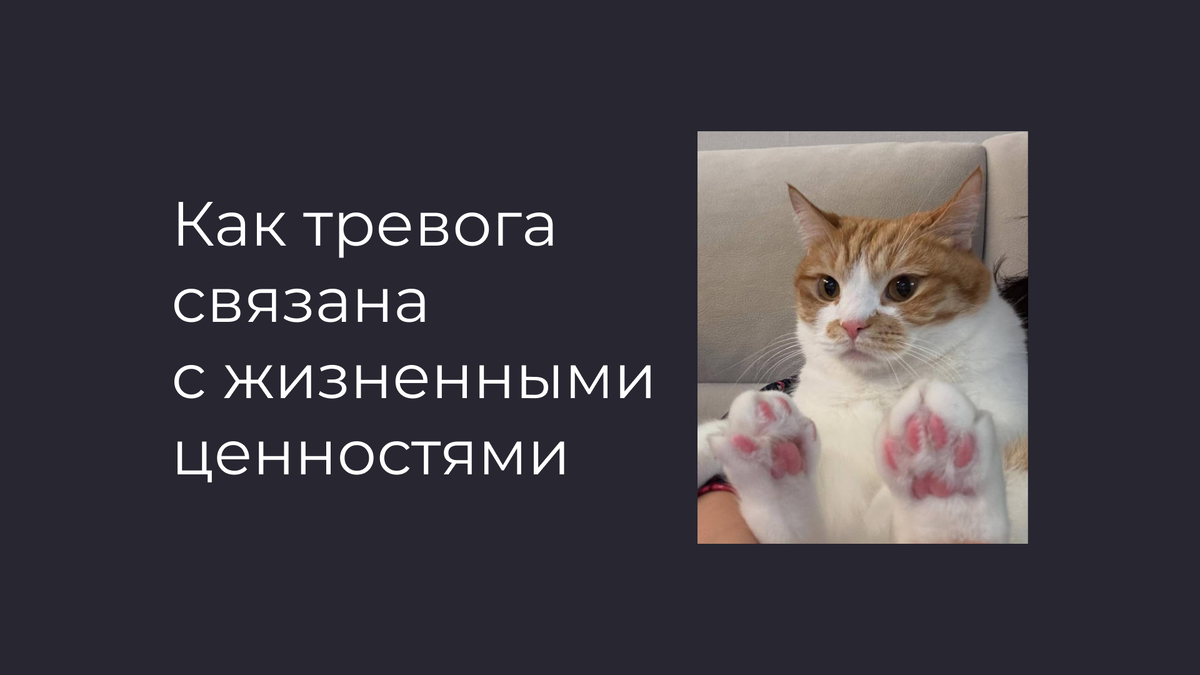 Тревога и жизненные ценности