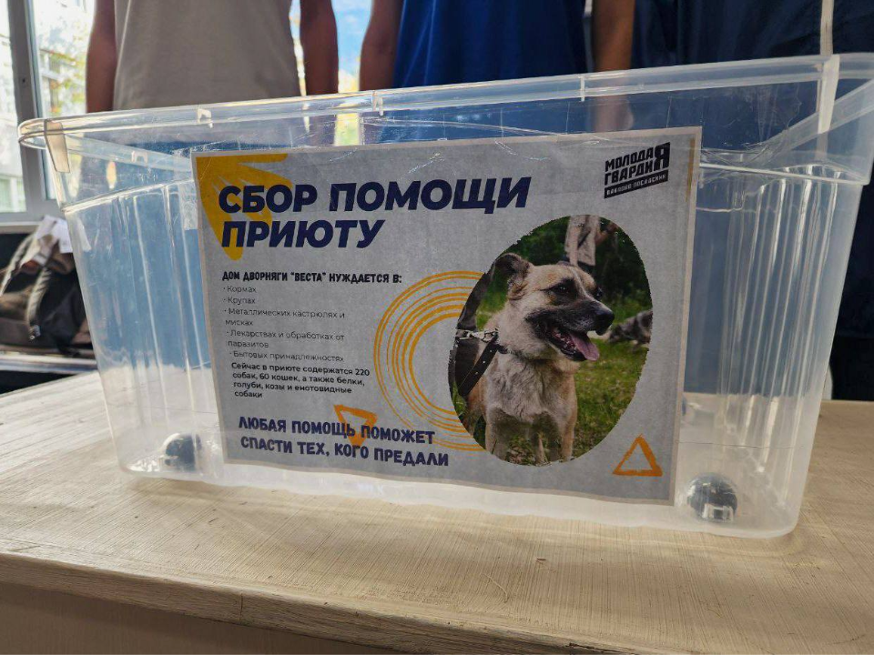    Фото: пресс-служба администрации Павлово-Посадского г.о.