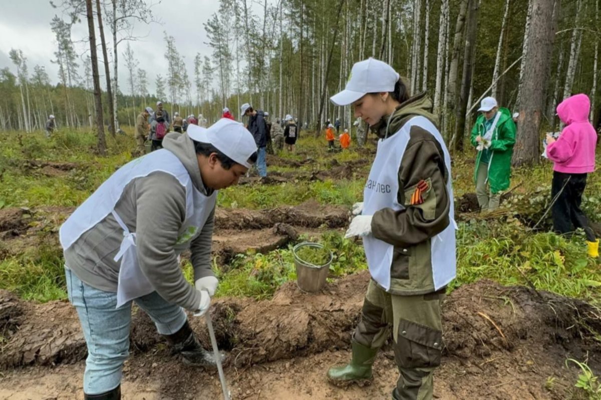    Фото: тelegram-канал Алексея Шмыкова, источник: momenty.org