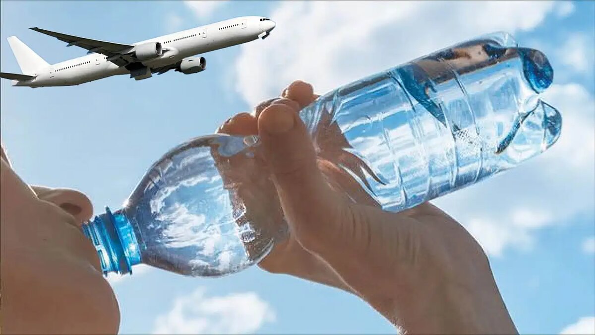 Фото из Интернета. 