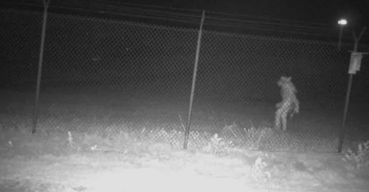 Оборотень из Амарилло