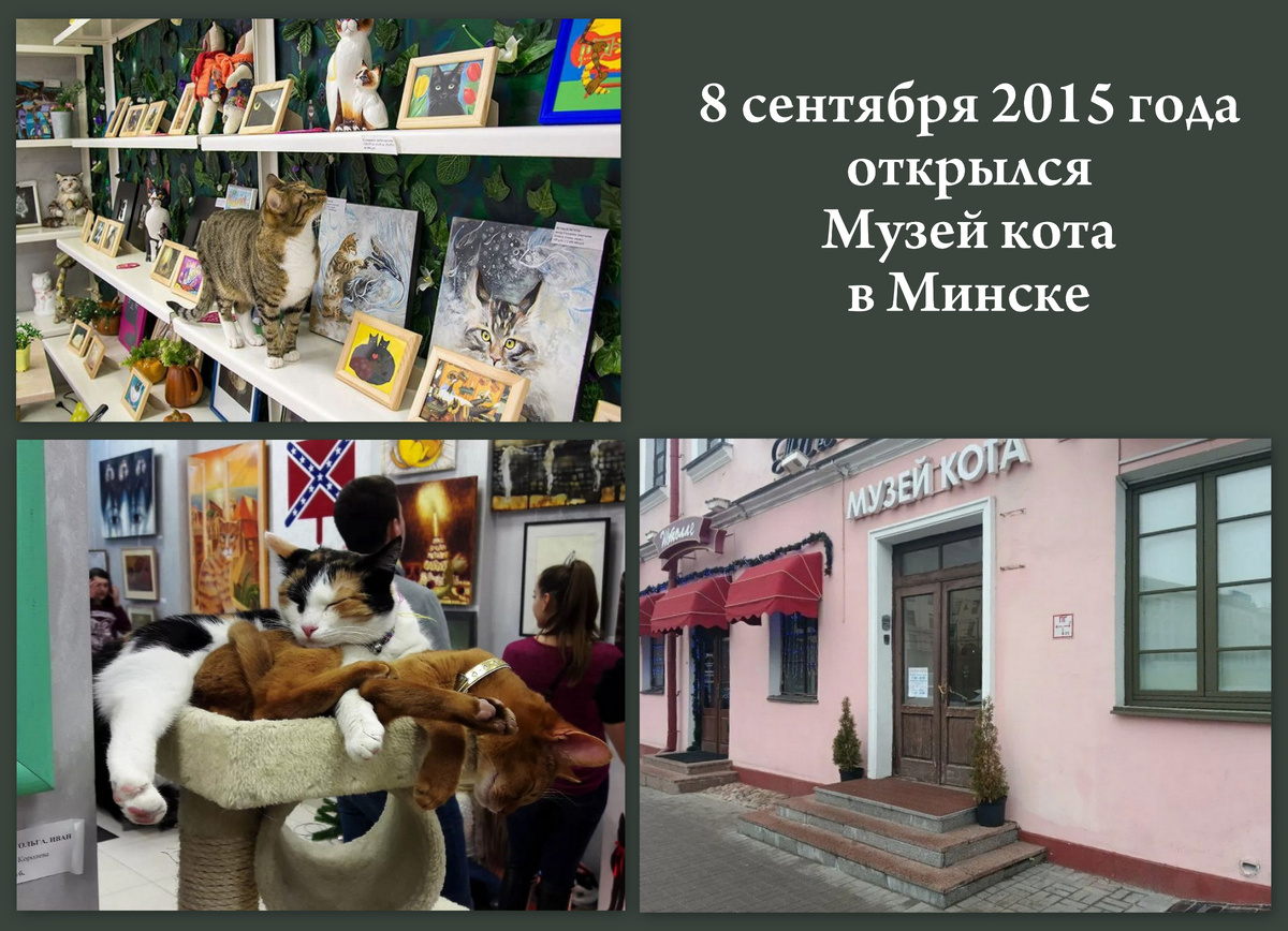 Коллаж автора