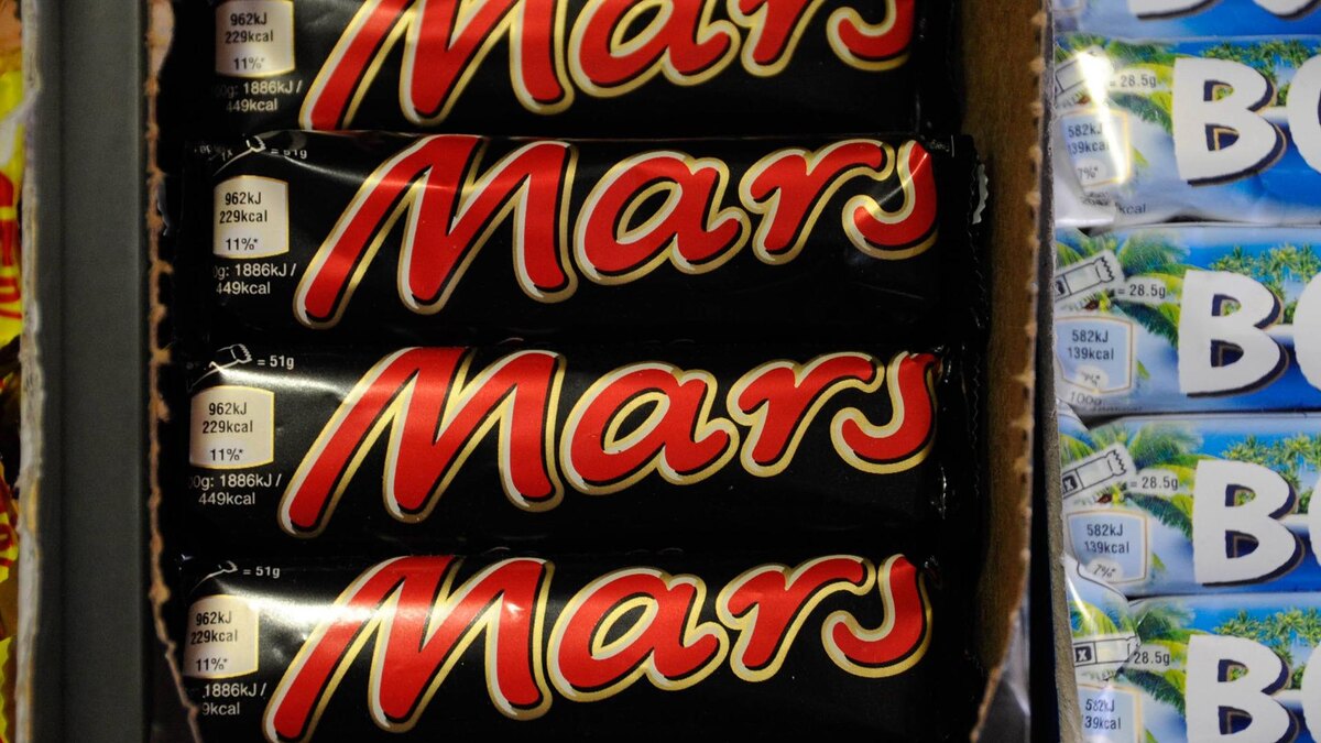    Фото: imago stock&people/globallookpress.com