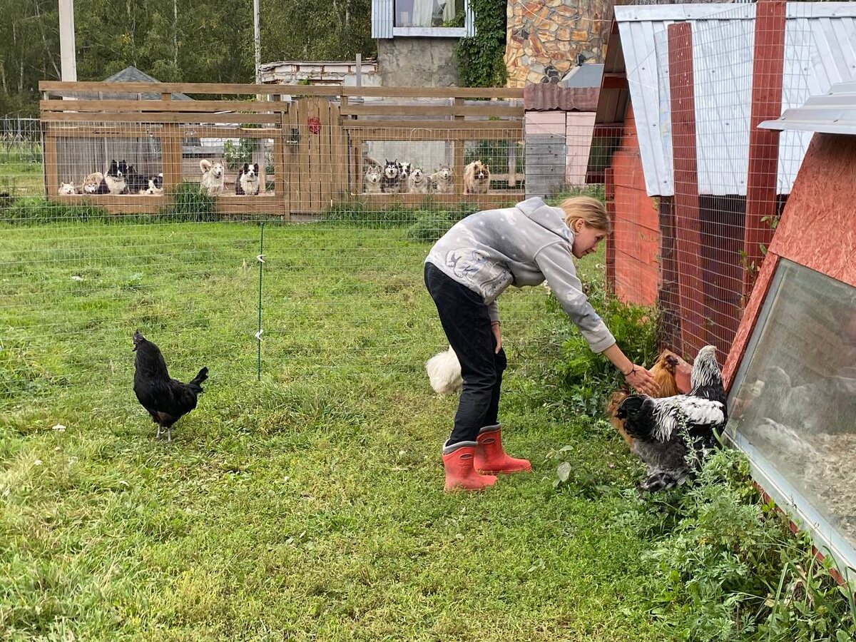А на заднем плане внимательно за всем наблюдают и очень переживают наши заядлые болельщики петушиных боев 