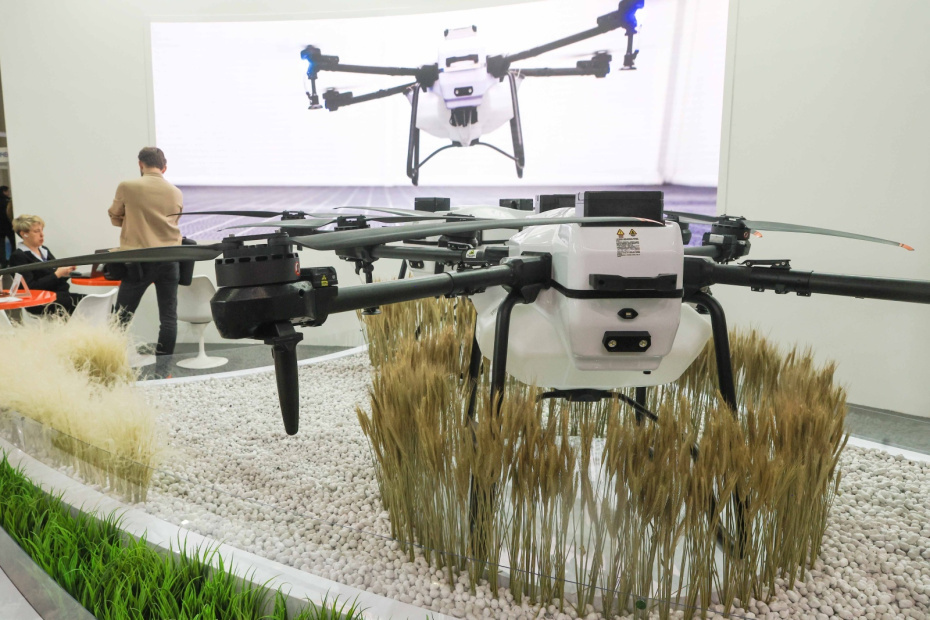    Наталья Шатохина/NEWS.ru