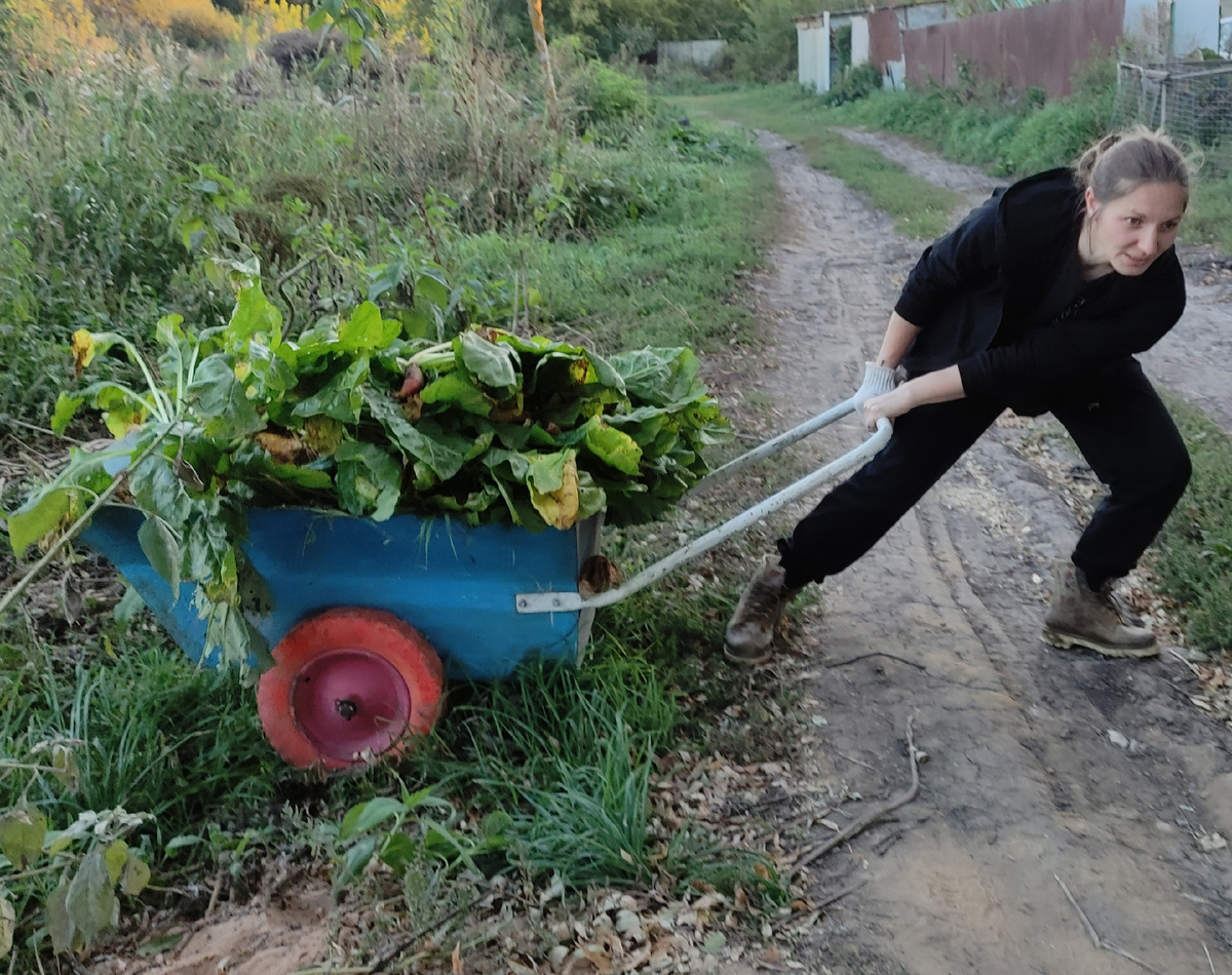 Свёкла заколосилась)))