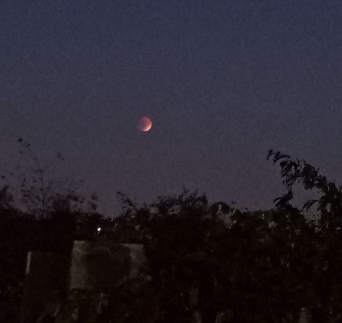 Фотографии так себе вышли. 