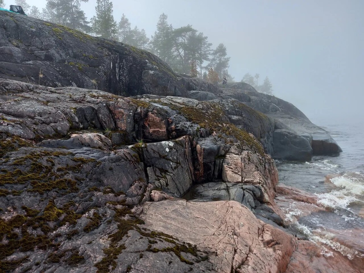 фото из интернета