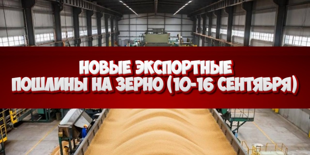 🌾 НОВЫЕ ЭКСПОРТНЫЕ ПОШЛИНЫ НА ЗЕРНО (10-16 сентября