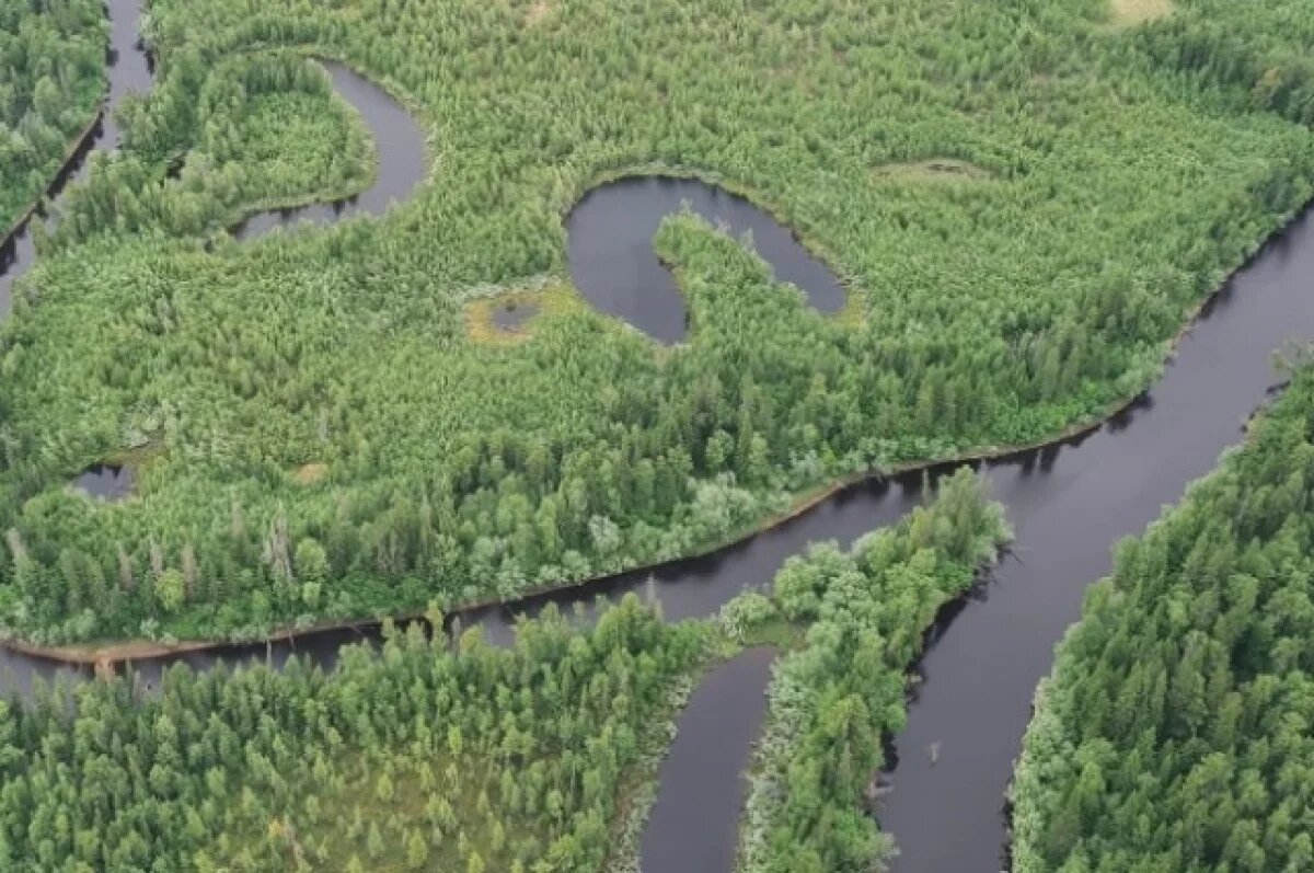    В ЯНАО пропавший рыбак нашёлся живым спустя сутки