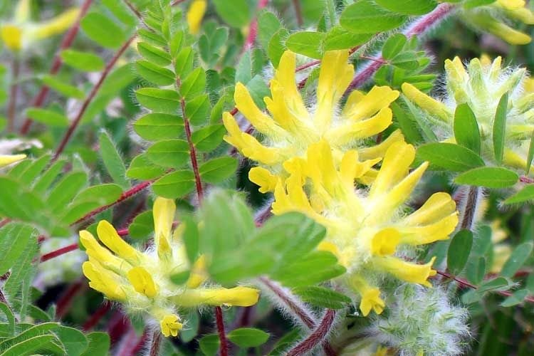 Фото: Pinterest.co