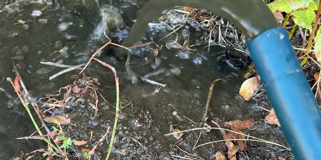 Что будет если не пользоваться скважиной в частном доме? Часть 2