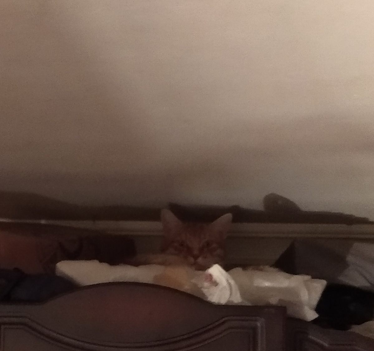 личное фото