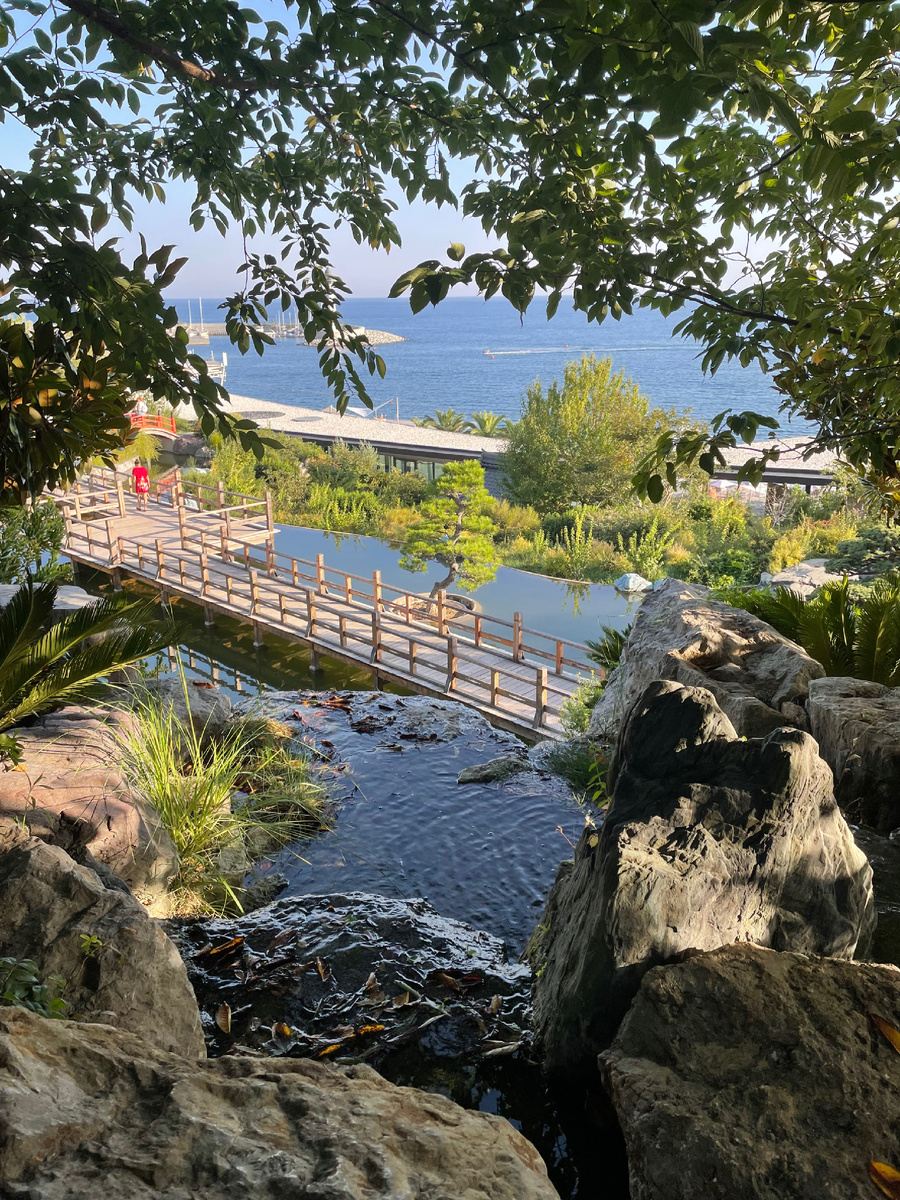 На территории отеля Мрия.