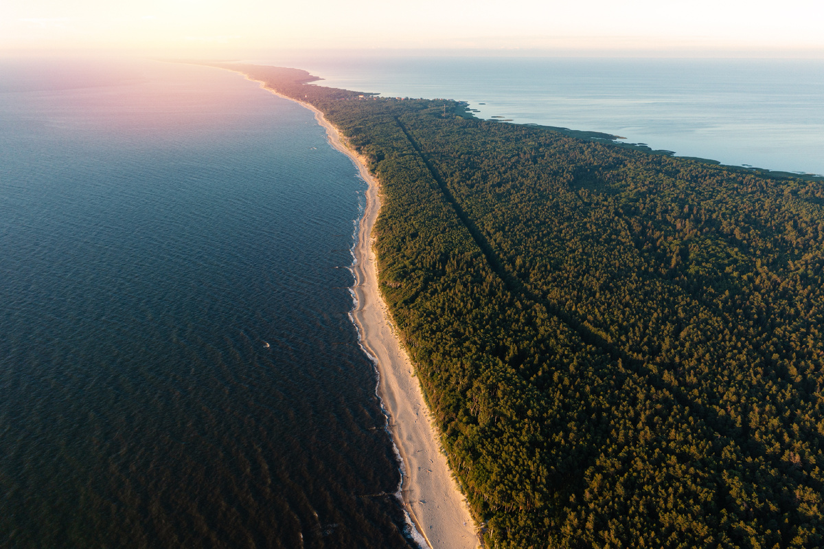 Куршская коса с высоты птичьего полета. Источник фото: www.shutterstock.com