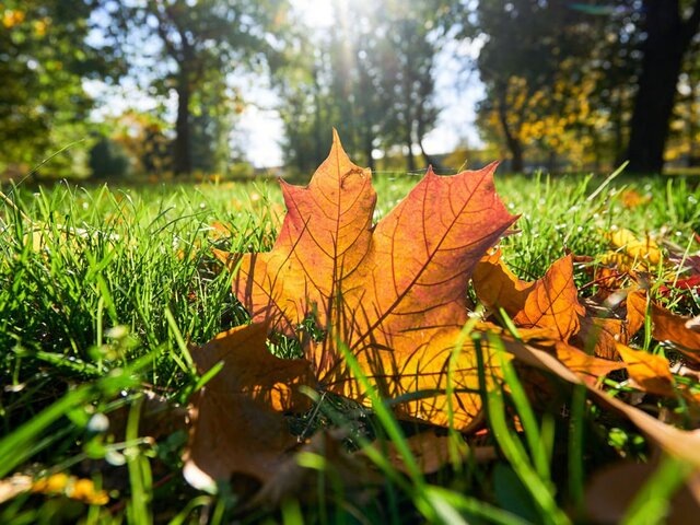    Фото: портал мэра и правительства Москвы/Евгений Самарин