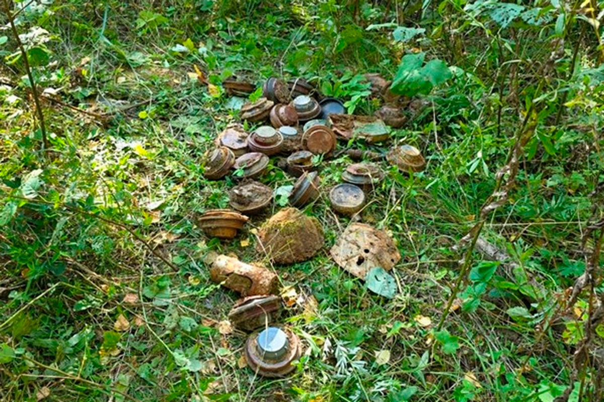    Фото: пресс-служба Управления Росгвардии по Вологодской области