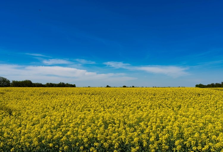    Фото: Пресс-служба Администрации Краснодарского края