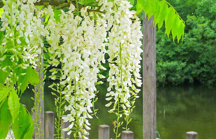 фото с сайта abekker.ru