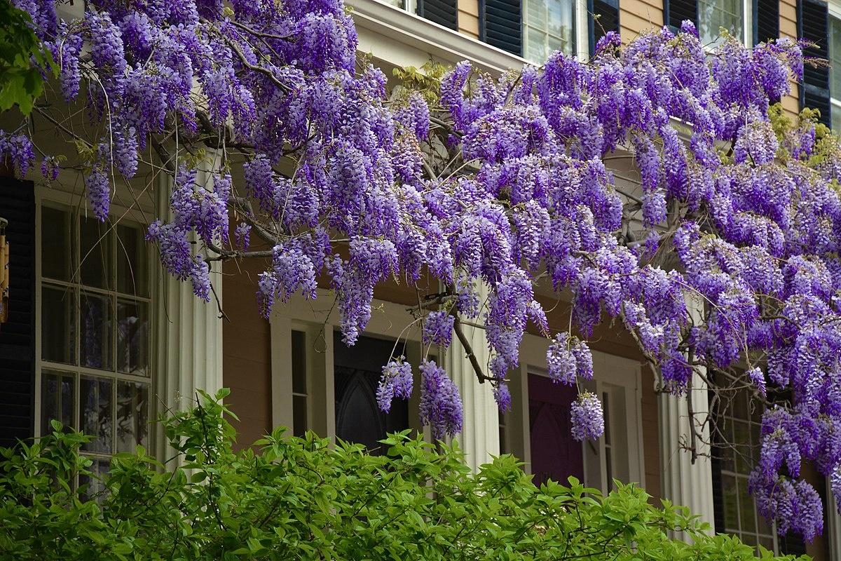 фото с сайта ixbt.com