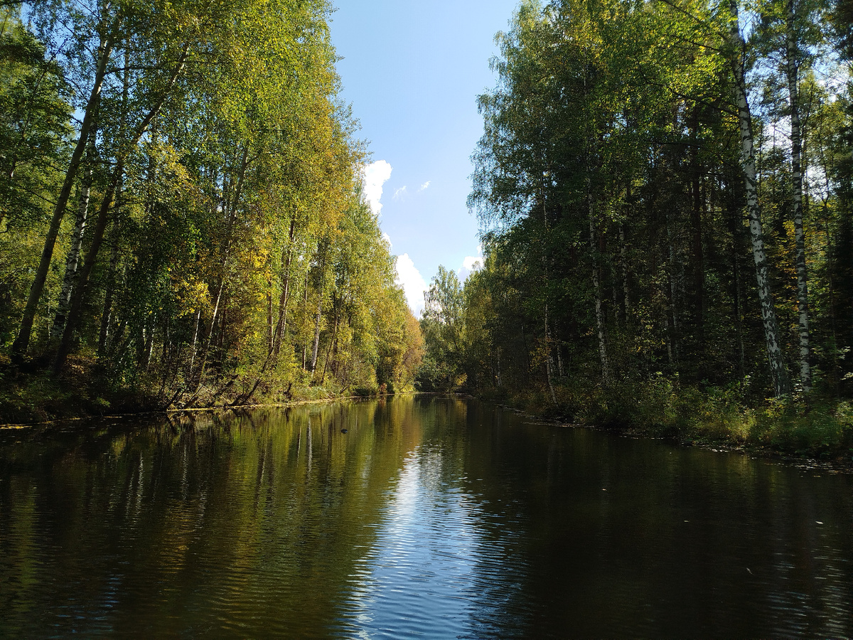 Ушковская канава